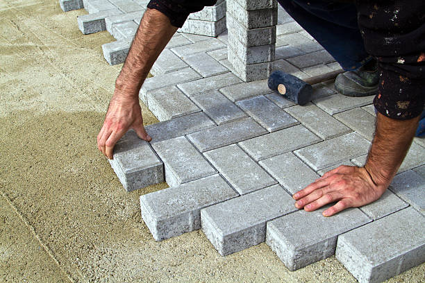 Best Driveway Paver Repair  in Winthrop Harbor, IL
