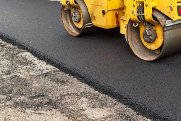 Best Local Driveway Pavers  in Winthrop Harbor, IL